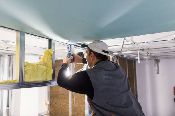 Attic Insulation Near Me in Singac, NJ