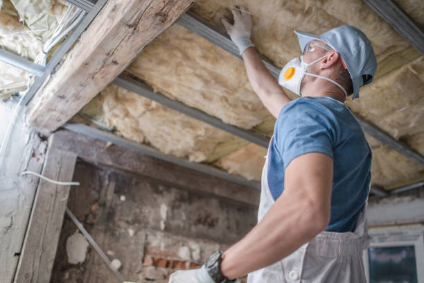 Insulation Repair Services in Singac, NJ